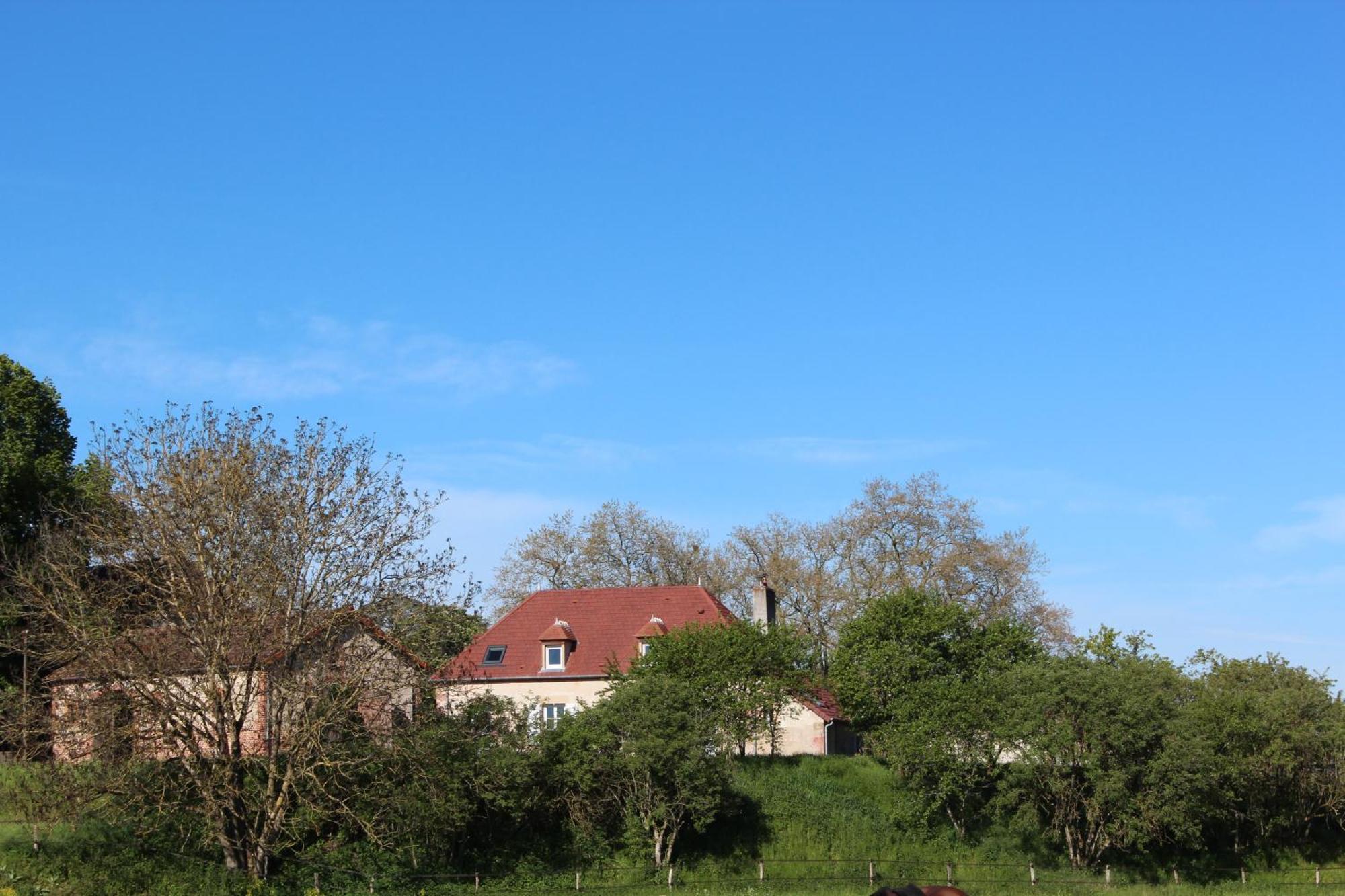 Bagneux  Gite Domaine St Georgesヴィラ エクステリア 写真